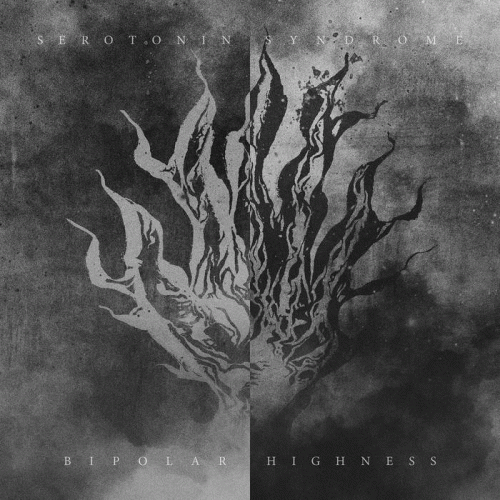 Serotonin Syndrome : Bipolar Highness